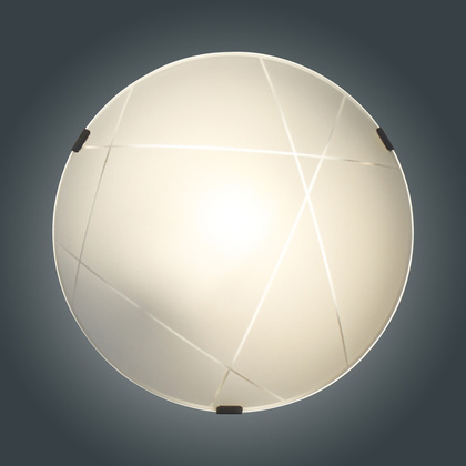 Светильник наст.-потол. Контур 250 НПБ 01-60-130 М15 мат.б./кл.мет. (1*60Вт, E27)