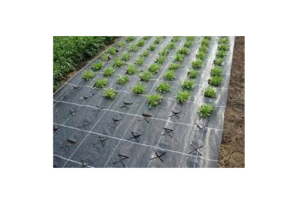 Материал нетканый фасованный СпанБелЭКО-V/50 3,2x10 м черный (Спанбонд)