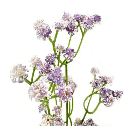 Цветок искусственный Статица, 60см, арт. G6130