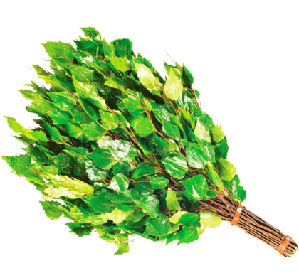 Веник банный березовый (Дзедау веник)