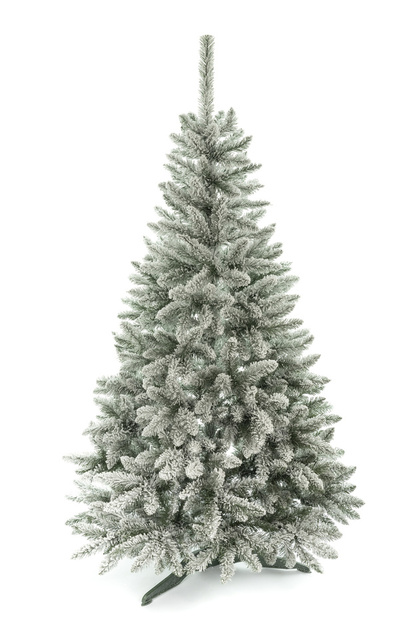 ЕЛЬ ТИТУС ЗАСНЕЖЕННЫЙ, 180см, арт. S22 - 1.80