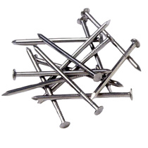 Гвозди 2х40, 1 кг