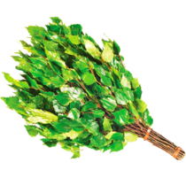 Веник банный березовый (Дзедау веник)