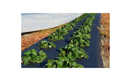 Материал нетканый фасованный СпанБелЭКО-V/50 3,2x10 м черный (Спанбонд)