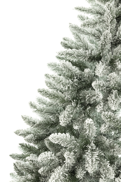 ЕЛЬ ТИТУС ЗАСНЕЖЕННЫЙ, 180см, арт. S22 - 1.80