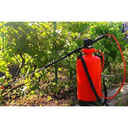 Фунгицид August Бордоская жидкость, 100 мл